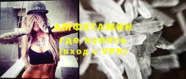 гашик Горняк