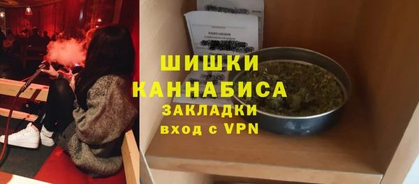бошки Горнозаводск