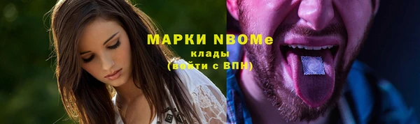 индика Горно-Алтайск