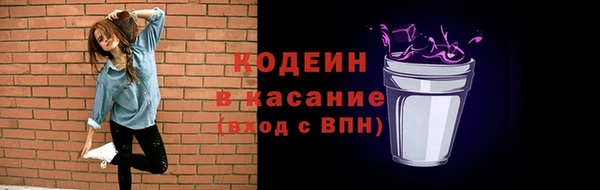 индика Горно-Алтайск