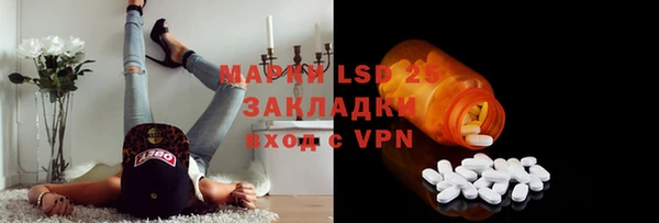 индика Горно-Алтайск