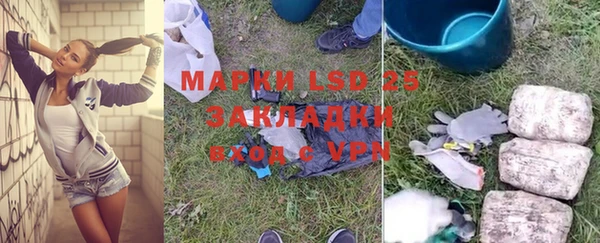 гашик Горняк