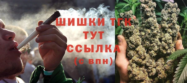 шишки Вязники