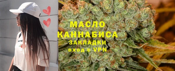 индика Горно-Алтайск