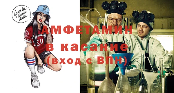 гашик Горняк