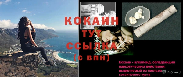 гашик Горняк